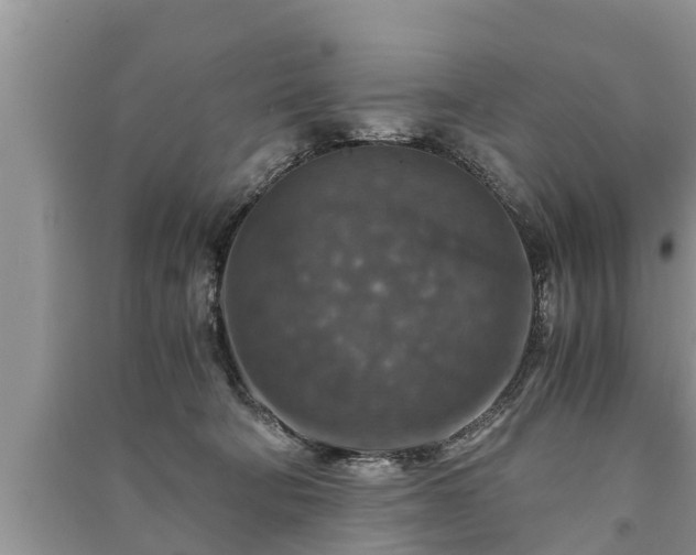 X0000091060322200708131136