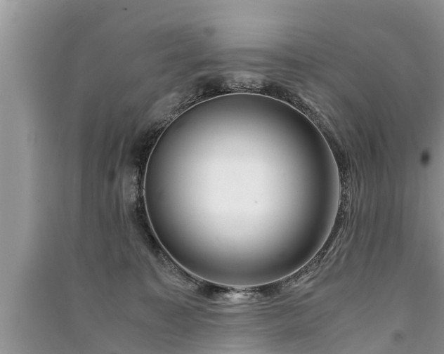 X0000091060323200708131136