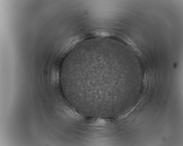 X0000091060330200708131135