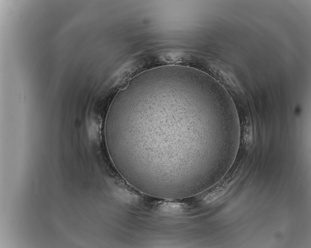 X0000091060332200708131135