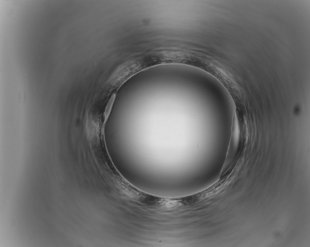 X0000091060333200708131135