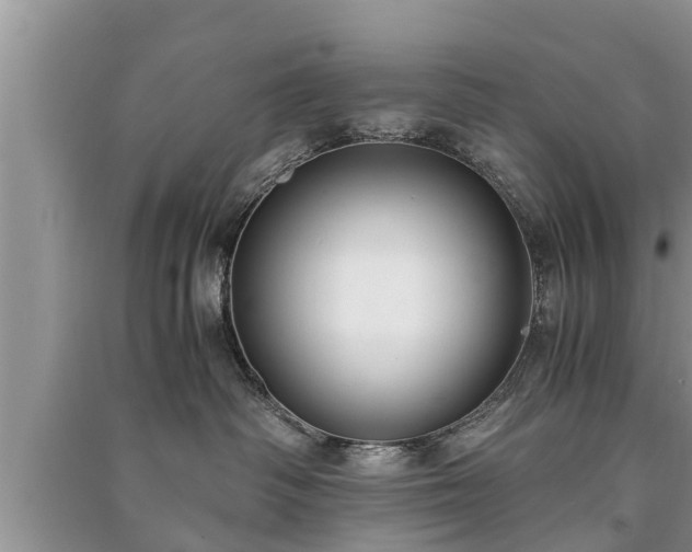 X0000091060334200708131135