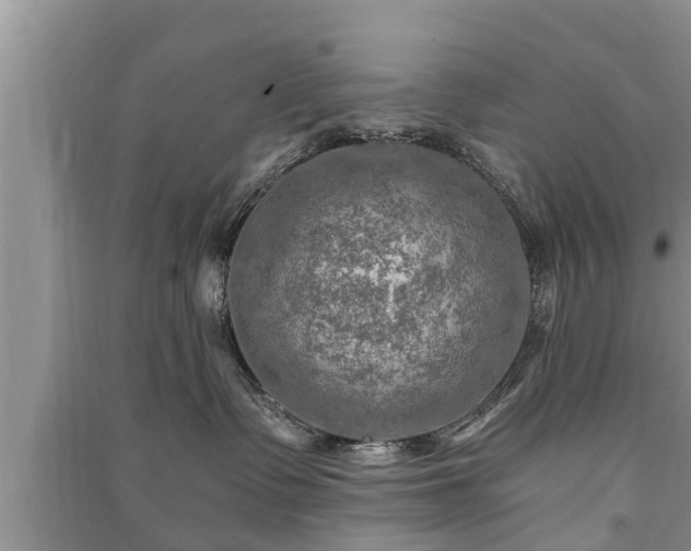 X0000091060335200708131135
