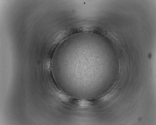 X0000091060336200708131135