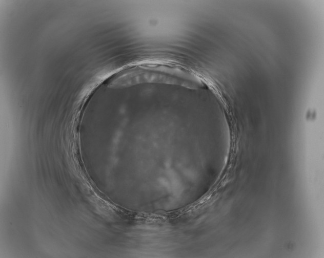 X0000091060337200708131135