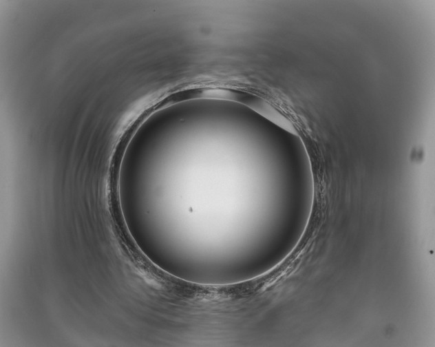 X0000091060340200708131135