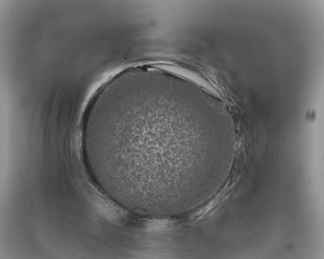 X0000091060342200708131135
