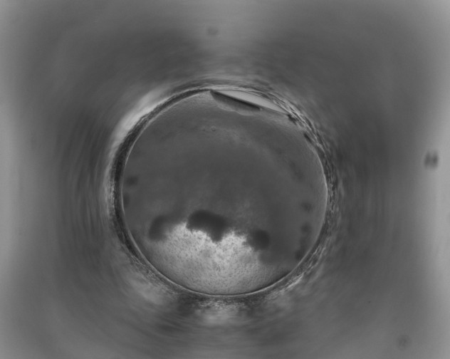 X0000091060343200708131135