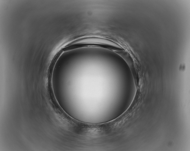 X0000091060344200708131135