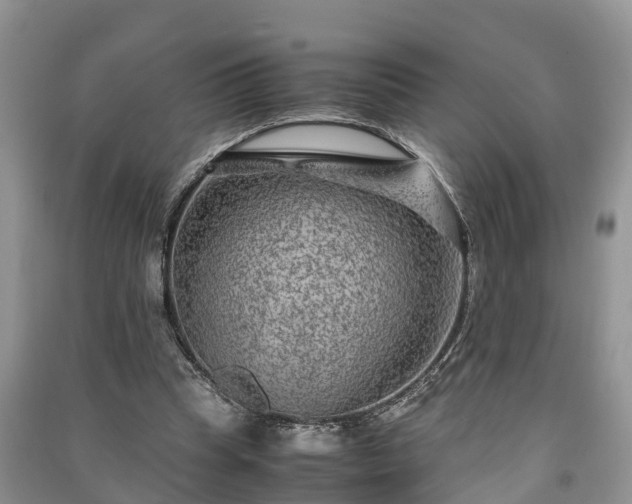 X0000091060345200708131135