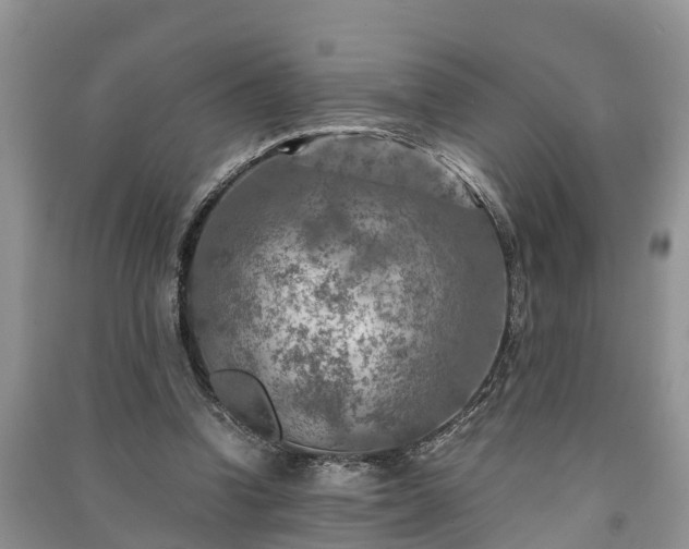 X0000091060346200708131135