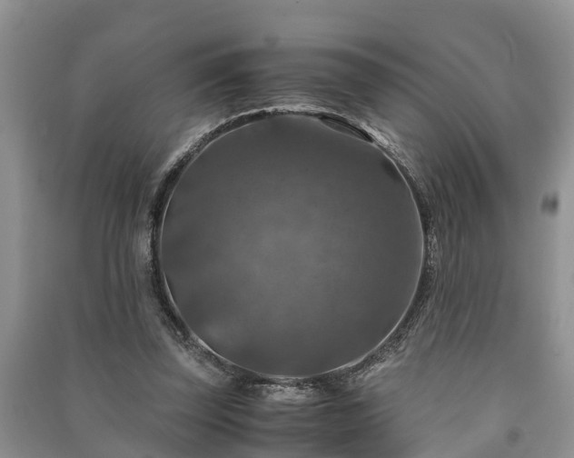 X0000091060347200708131135
