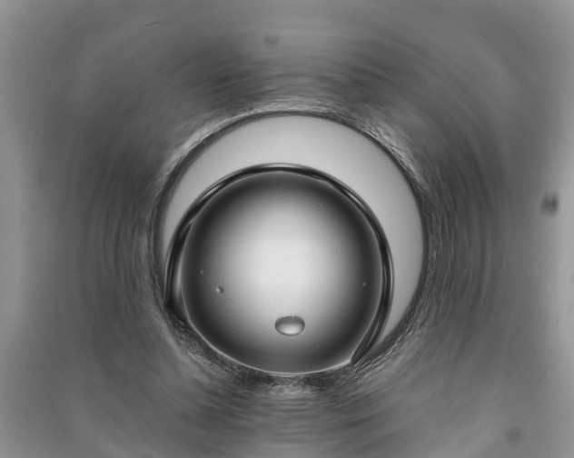 X0000091060348200708131135