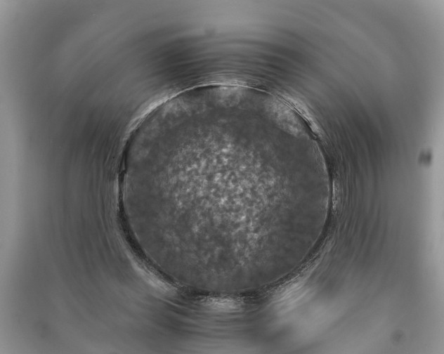 X0000091060349200708131135