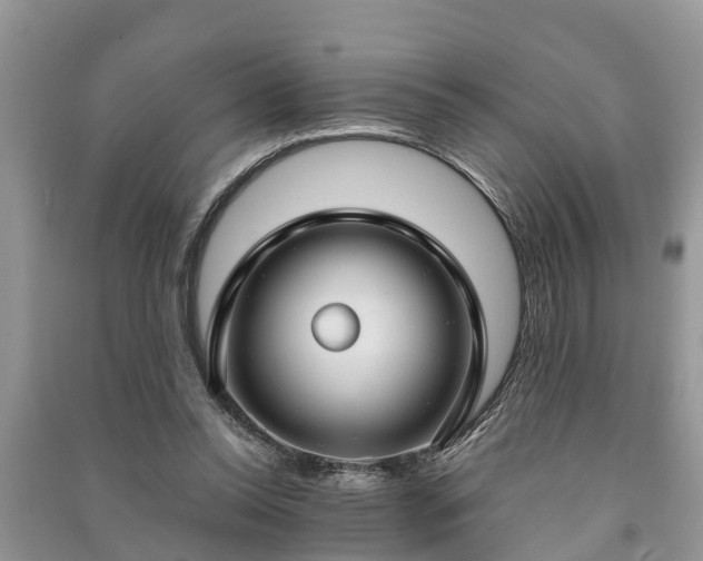 X0000091060350200708131135