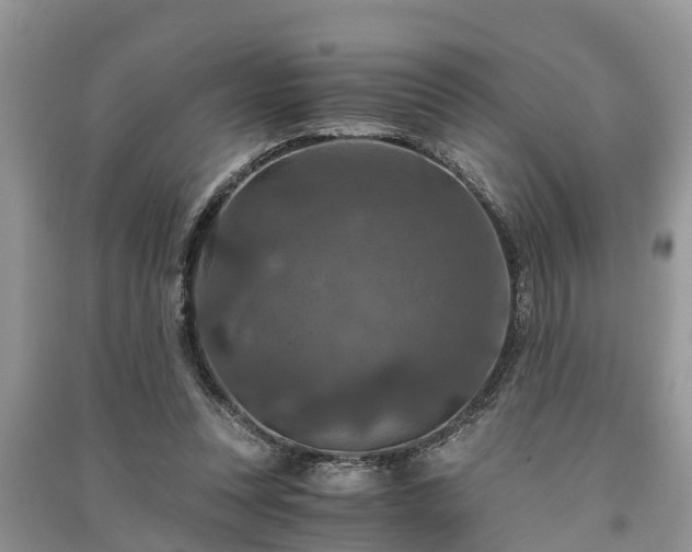 X0000091060351200708131135