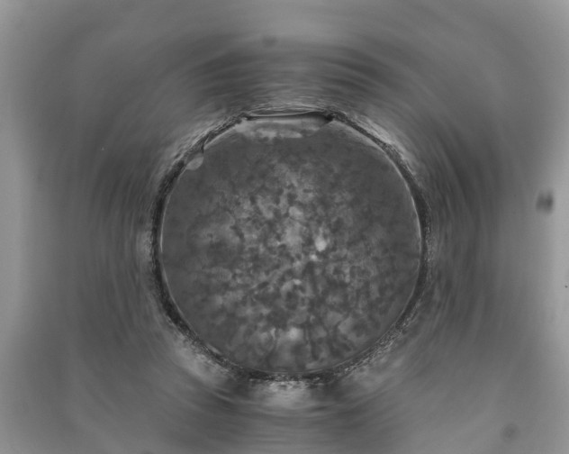 X0000091060353200708131135