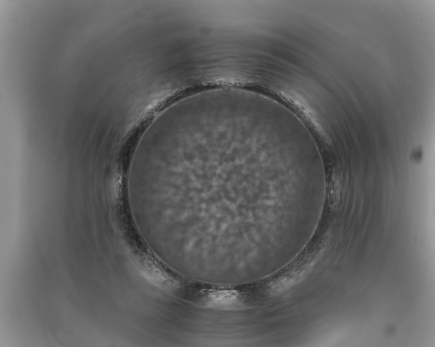 X0000091060355200708131135