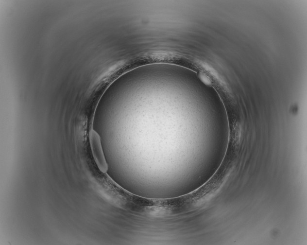 X0000091060356200708131135
