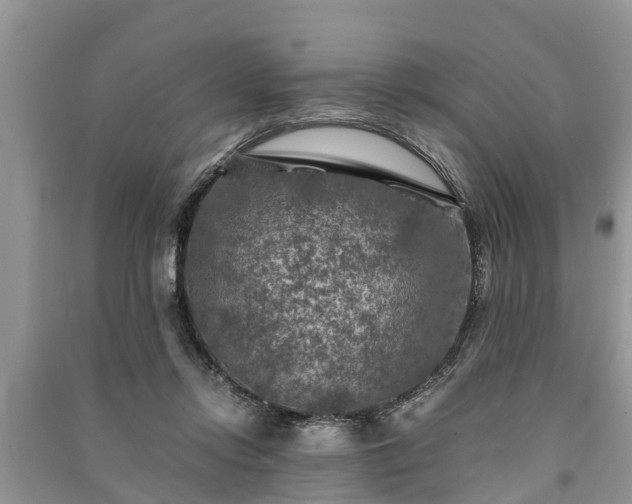 X0000091060358200708131135