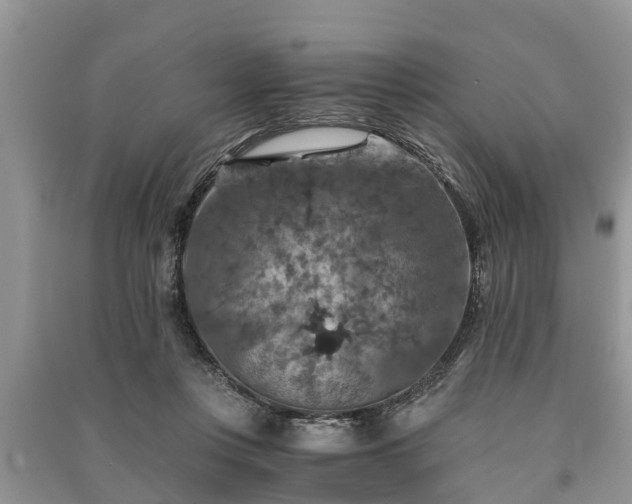 X0000091060359200708131135