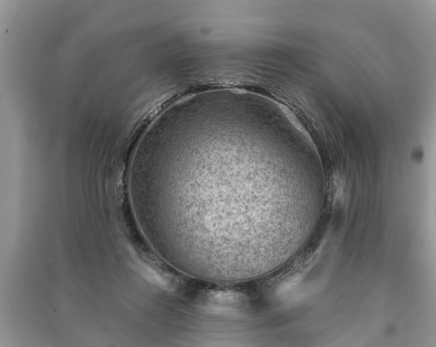 X0000091060360200708131135