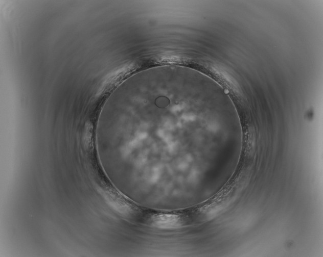 X0000091060361200708131135