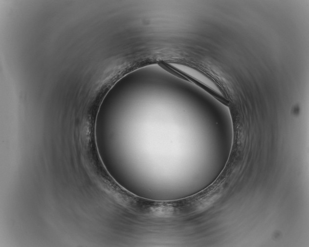 X0000091060362200708131135