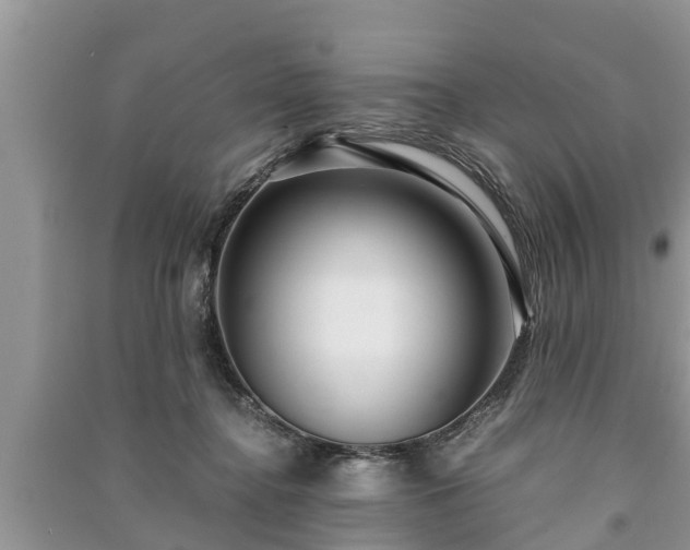X0000091060364200708131135