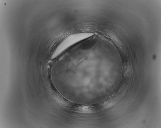 X0000091060365200708131135
