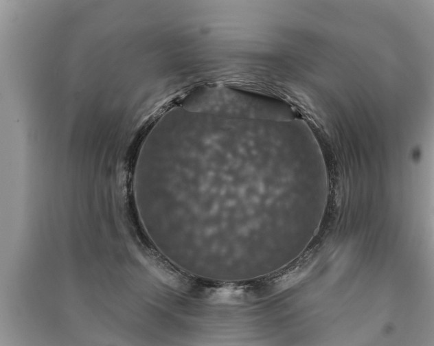 X0000091060366200708131135