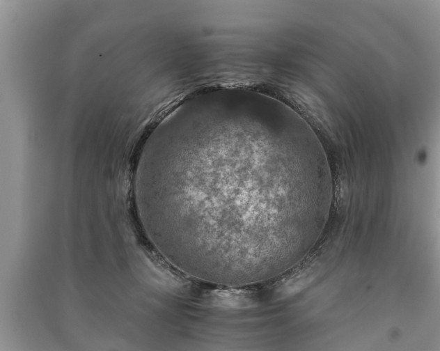 X0000091060367200708131135