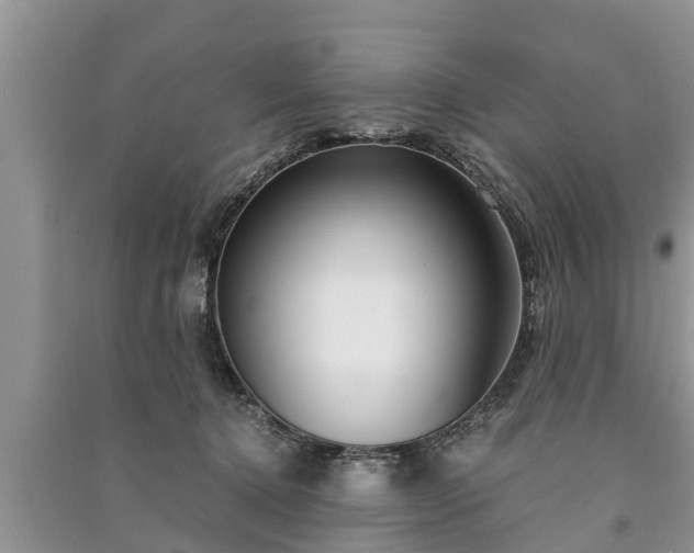 X0000091060368200708131135