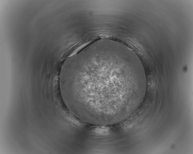 X0000091060369200708131135