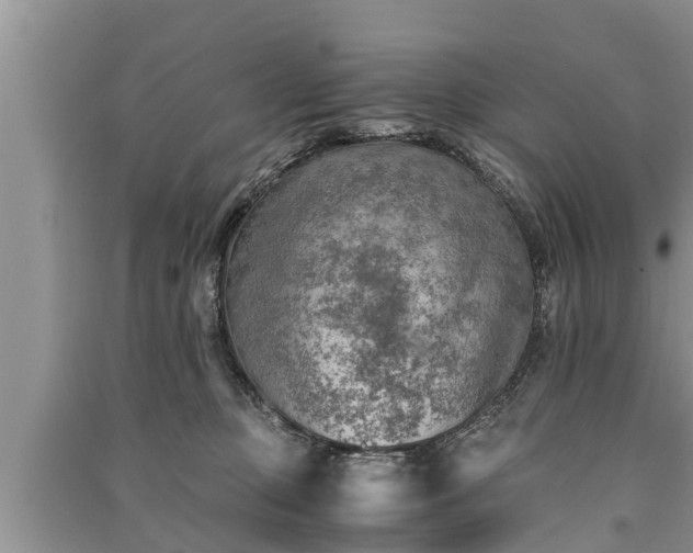 X0000091060373200708131135