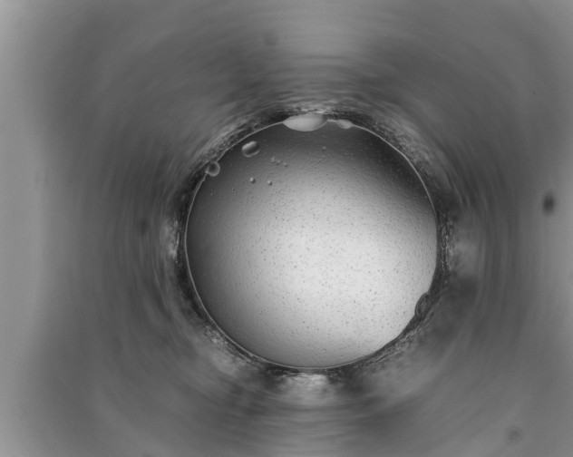 X0000091060374200708131135