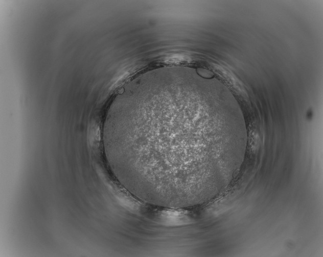 X0000091060375200708131135