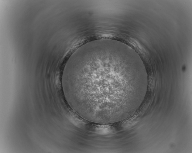 X0000091060377200708131135