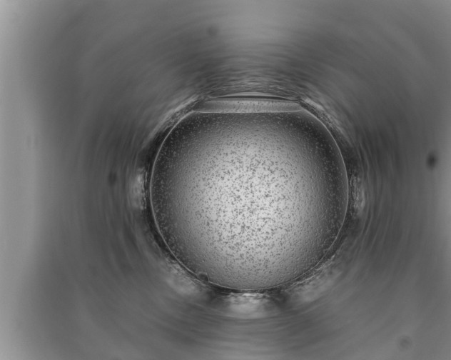 X0000091060378200708131135