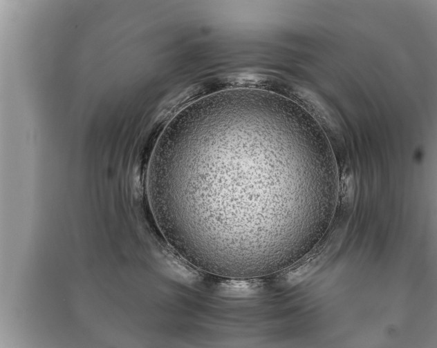 X0000091060381200708131135