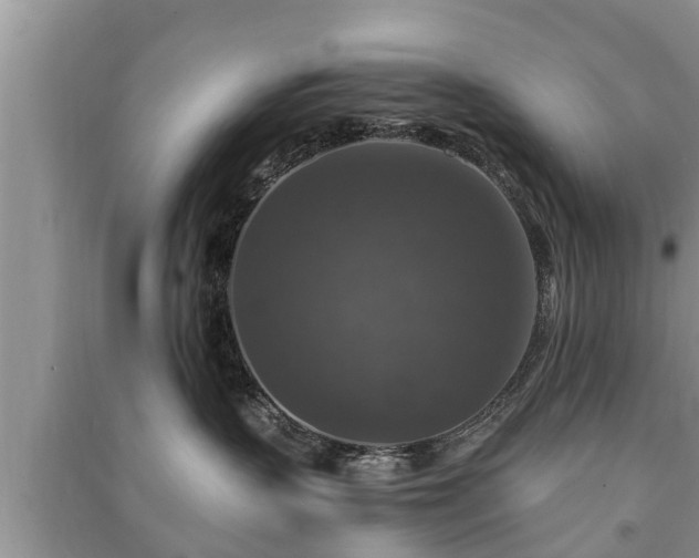 X0000091060383200708131135