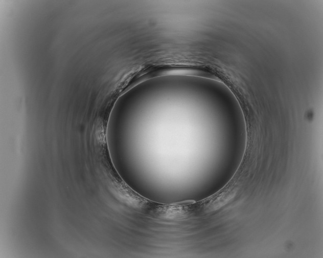 X0000091060384200708131135