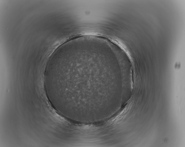 X0000091060385200708131135