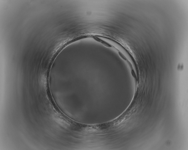 X0000091060386200708131135