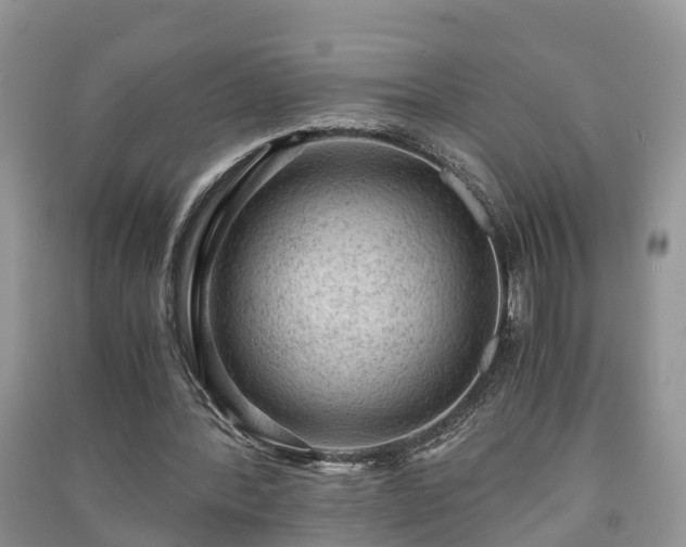 X0000091060388200708131135