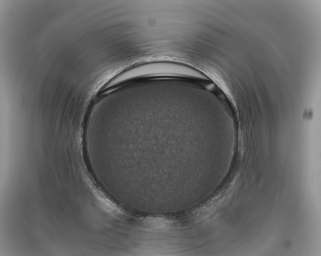 X0000091060389200708131135