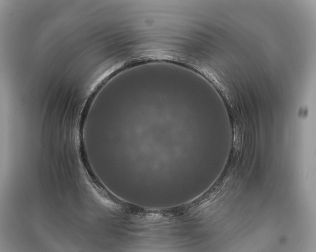 X0000091060390200708131135