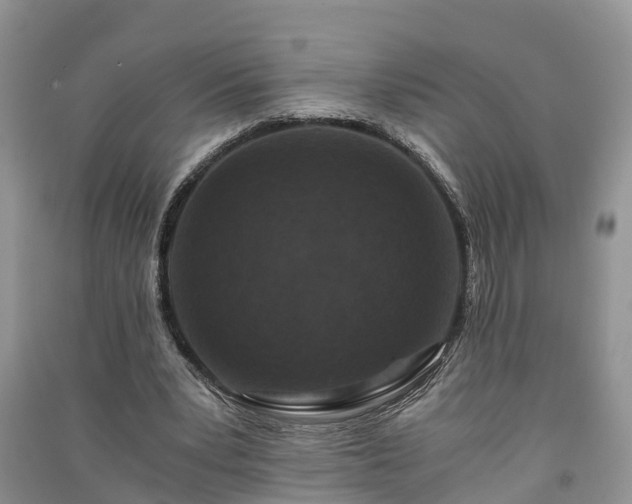 X0000091060391200708131135