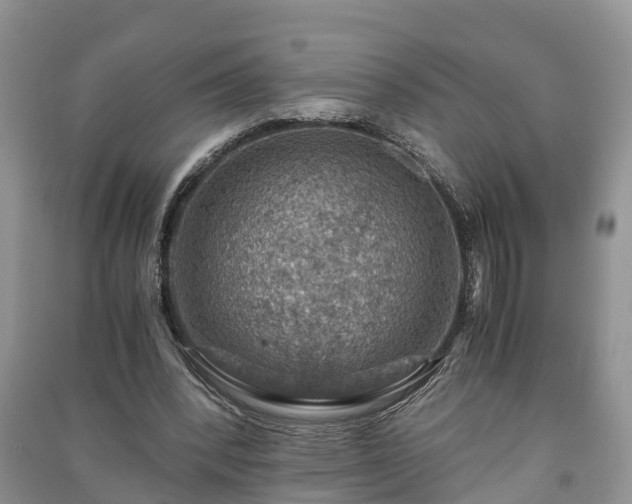 X0000091060392200708131135
