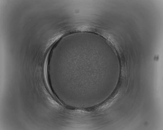 X0000091060393200708131135